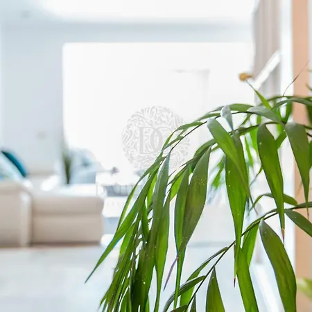 Holiday home Center By Dahlia Group Marbella